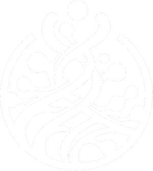 attr amyloidosis icon