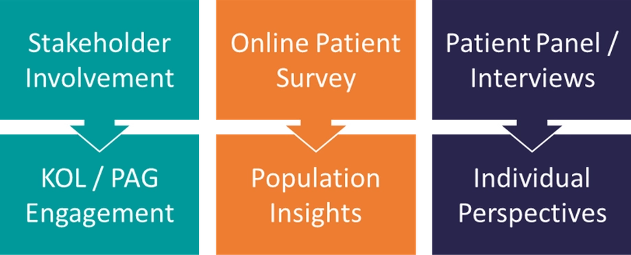 whitepaper_study_launch-insights